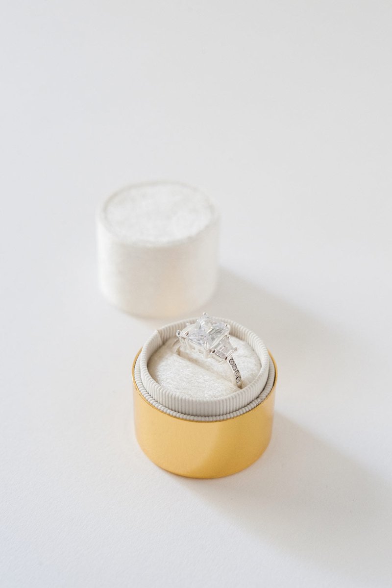 The Laurine - esselleSF