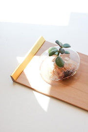 'SECOND' 24k Gold Gilded 9" Wooden Tray